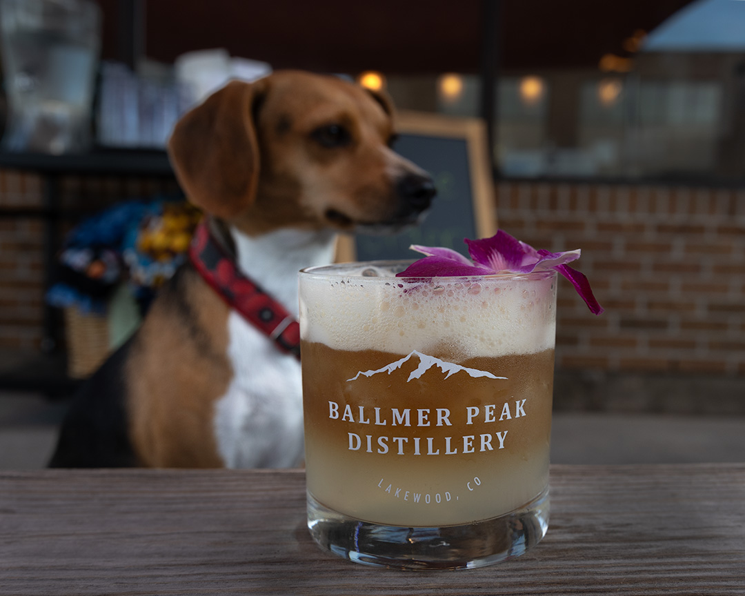 Ballmer Peak Distillery near Denve: Friend to Doggos